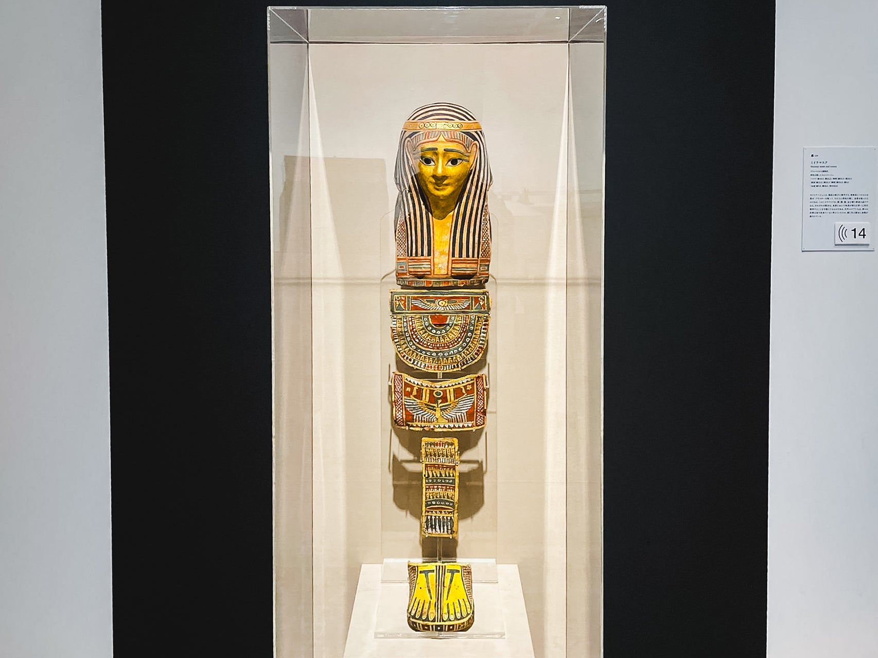 東京渋谷のコレクションが八戸に！3000年の歴史を辿る古代エジプト