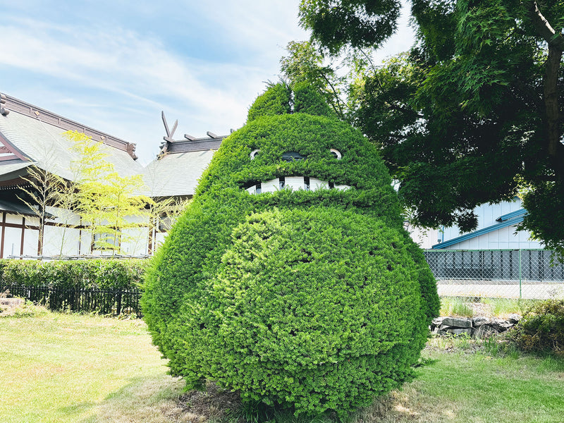 まちを歩けば見えてくる、地元の魅力を再発見！【小中野】