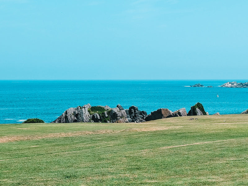 海色のソフトクリームを求めて〈WHARF TANECHI〉へ。【種差】