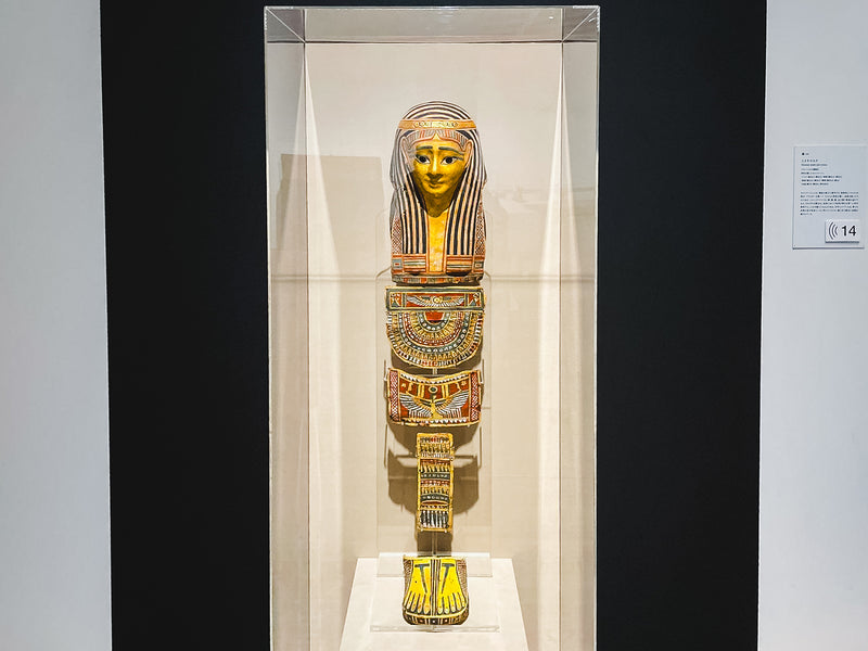 東京渋谷のコレクションが八戸に！3000年の歴史を辿る古代エジプト美術館展【八戸市美術館】