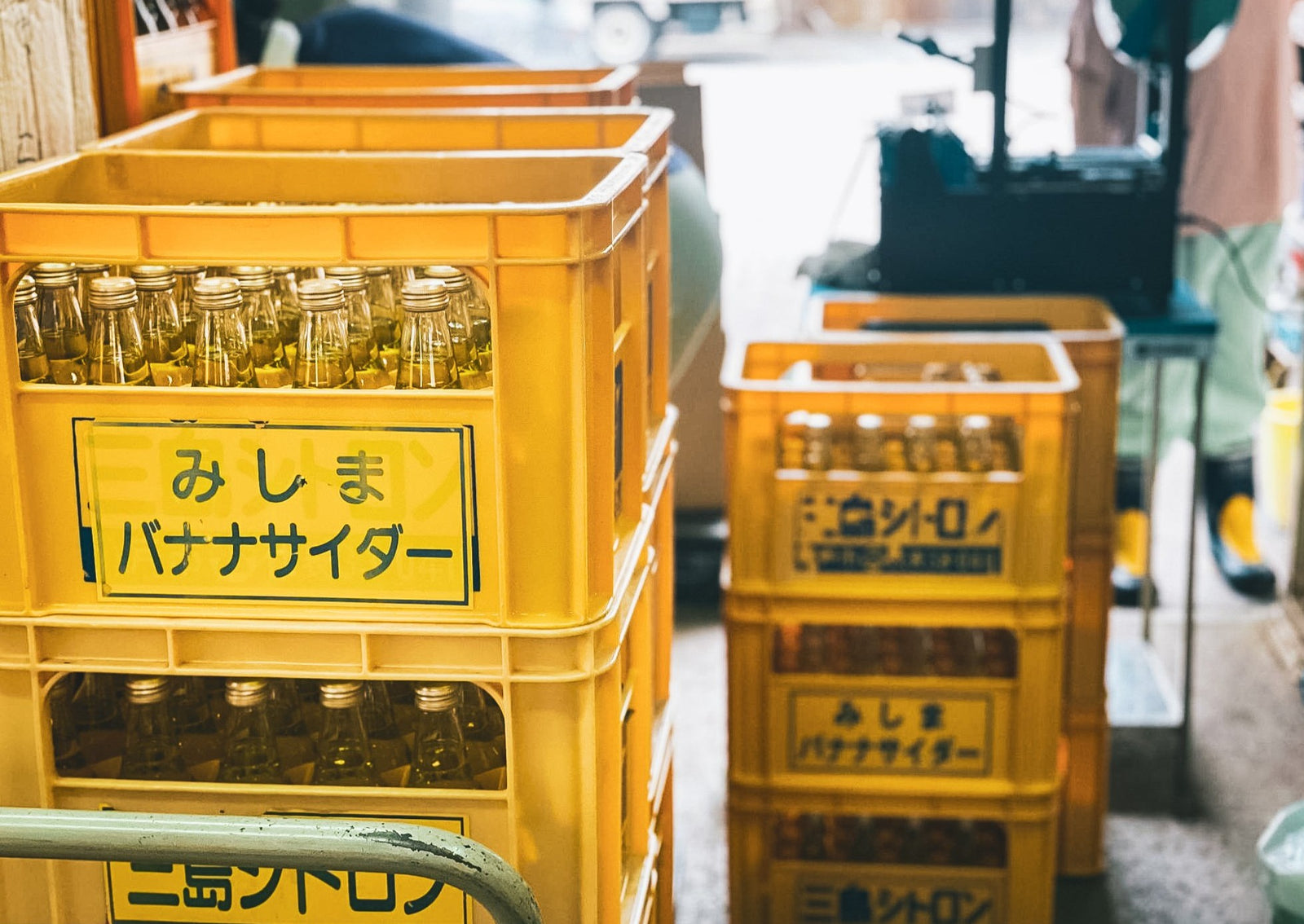 image18_1600x.jpg?v=1626835262